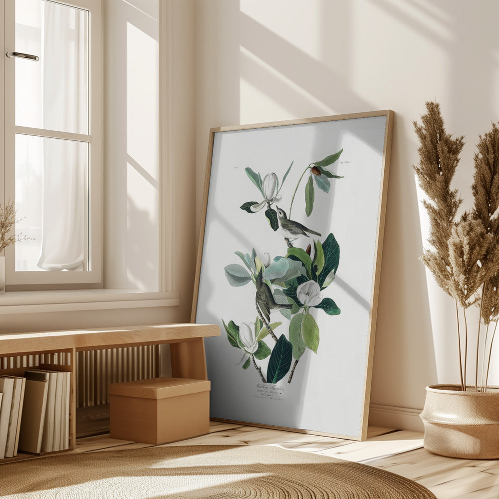 Warbling Flycatcher Print