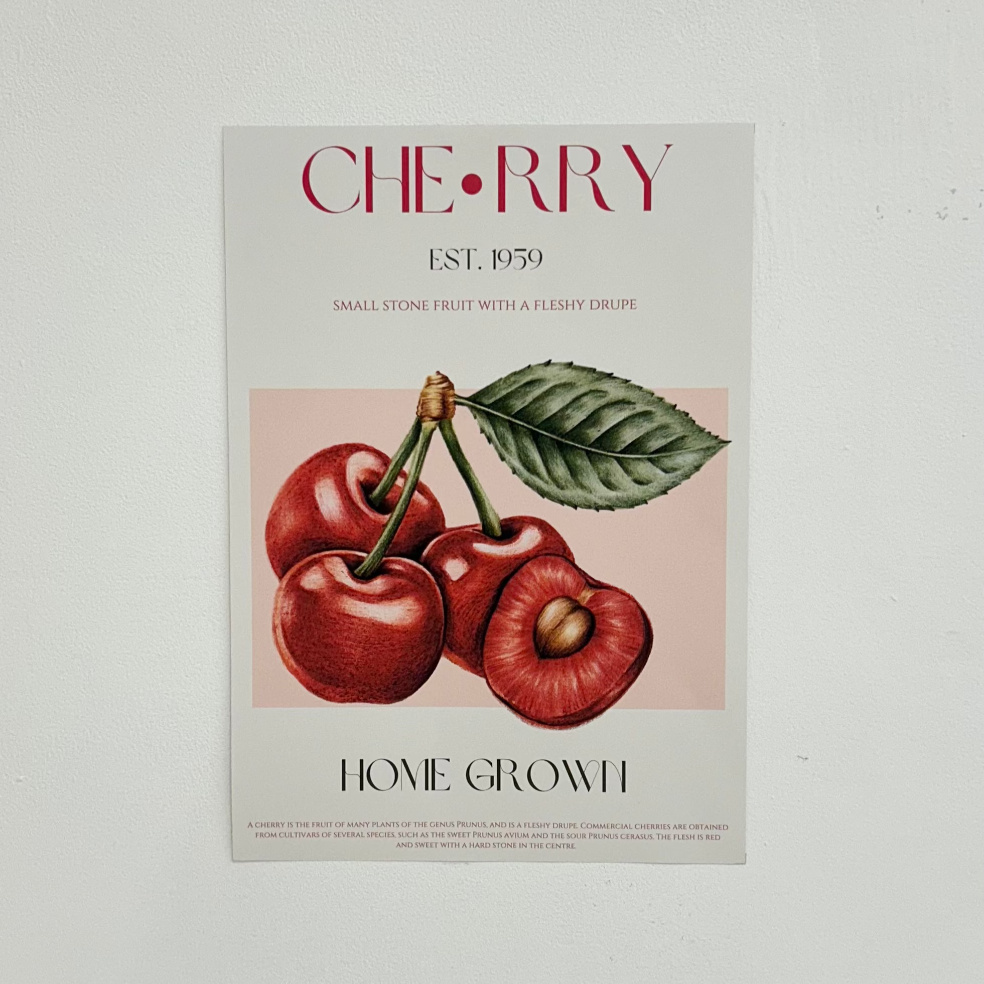 Sweet Red Cherries Print
