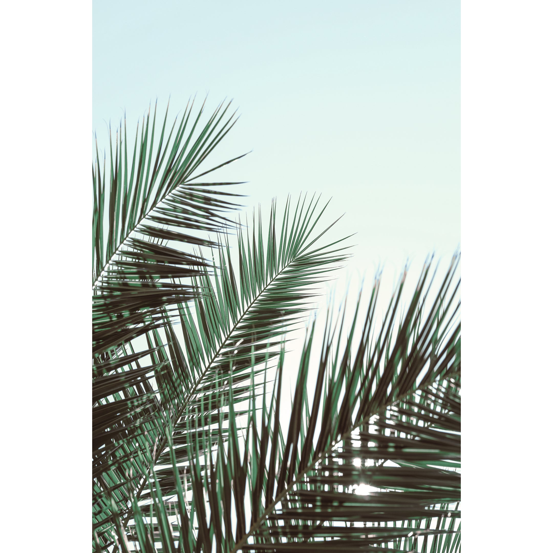 Flowing Palm Leaves Print